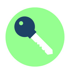 Key Vector Illustration
