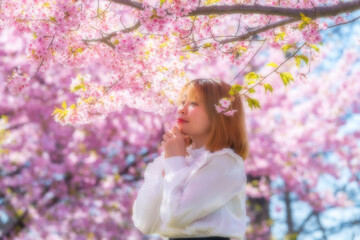 Fototapeta premium 河津桜と若い女性 