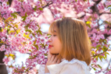 河津桜と若い女性 