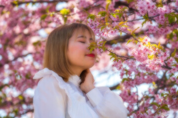 Fototapeta premium 河津桜と若い女性 