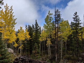 Autumn in the mountains