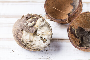The spoiled coconut pulp with mold is lying on a light wooden table. Close-up