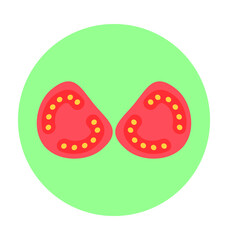 Tomato Vector Icon