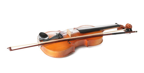 Beautiful violin on white background