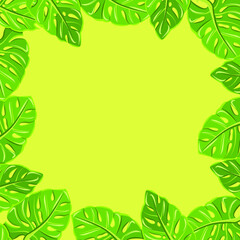 Leaf frame on green background, texture for design, vector illustration