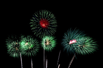 Fototapeta premium Colorful fireworks celebration and the night sky background.