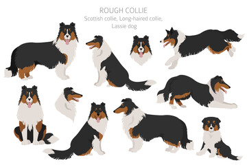 Rough collie clipart. Different poses, coat colors set. - obrazy, fototapety, plakaty