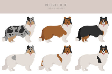 Naklejka premium Rough collie clipart. Different poses, coat colors set.
