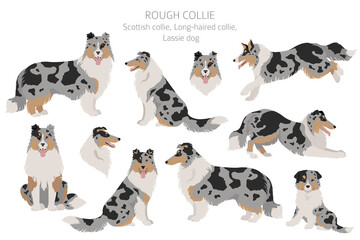 Rough collie clipart. Different poses, coat colors set. - obrazy, fototapety, plakaty