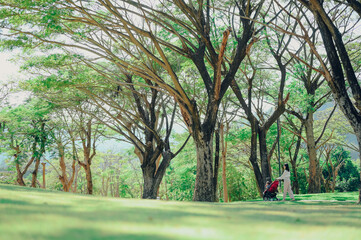 Obraz premium Mother walking with baby stroller in park