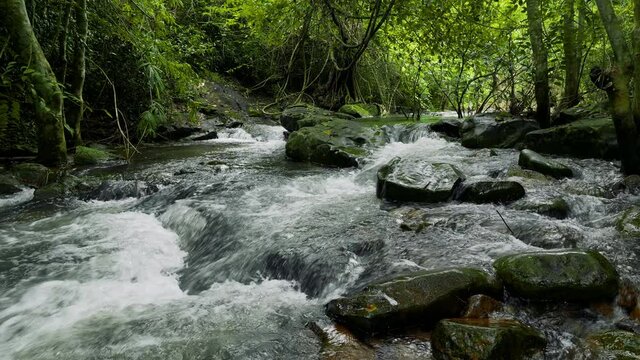 Chet Khot Waterfall in Tropical Rainforest, Saraburi Thailand. Nature background