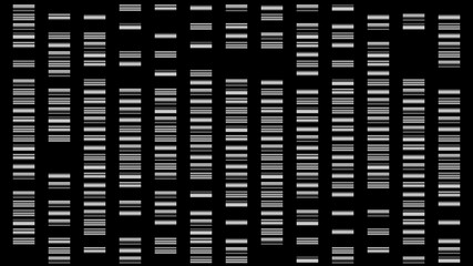 DNA barcodes . DNA barcoding . Isolated on black background . 3d render illustration