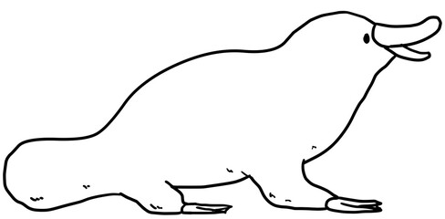 Simple platypus line art illustration
