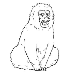 Line art illustration of an angry monkey