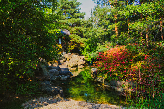 Gardens of the world, Corean Garden, Berlin