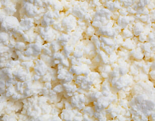 Fresh milk curd as background.