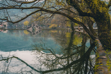 Trees and ancient Chinese stone bridge on a rainy day.