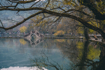 Trees and ancient Chinese stone bridge on a rainy day.