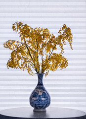 Still life of sprigs of mimosa in a Chinese porcelain vase stands on a round table against the background of a curtained window