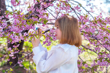 スマートフォンを使う若い女性と河津桜