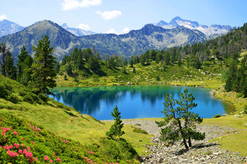 Beautiful mountain landscape in Neouvielle national nature reserve, Lac de Bastan inferieur, French Pyrenees. - obrazy, fototapety, plakaty