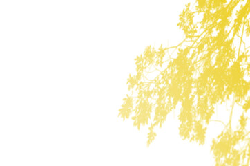 Summer Background Of Shadows Branch Leaves On a Wall. Illuminating Pantone Color Of The Year 2021