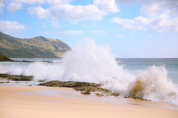 Big waves at Keawaula Beach Yokohama bay seat coast of oahu hawaii