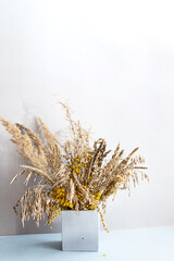 Pampas grass in a concrete geometric vase. A minimal still life with dry field spikelets on a light background. The decor of a modern, eco-friendly, cozy interior.