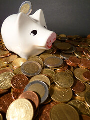 Ein Sparschwein auf einem Berg verschiedener Euro-Münzen.