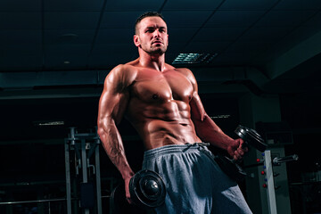 Fototapeta na wymiar Gym workout with dumbbells. Sporty exercises. Male torso with six packs. Man naked body.