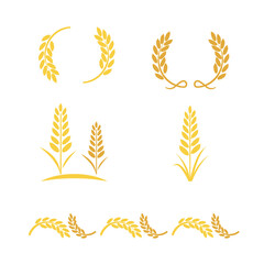set of golden wheat