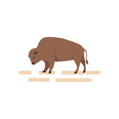 American bison. Ilustration in flat style