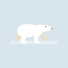 Polar bear. Illustration in flat style