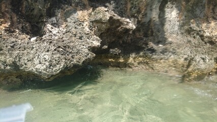 グアム岩場