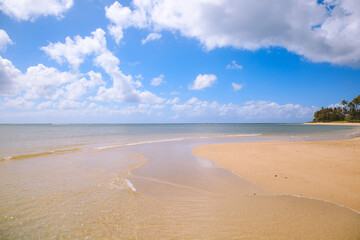 Waialae Beach Park Honolulu Oahu Hawaii | Sea Nature Ocean Landscape Travel 