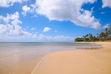 Waialae Beach Park Honolulu Oahu Hawaii | Sea Nature Ocean Landscape Travel 