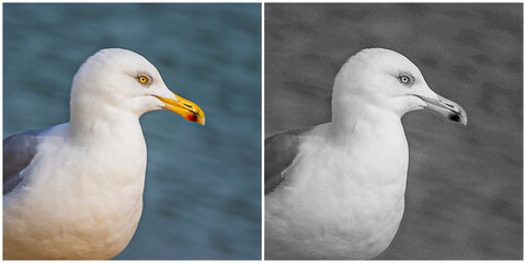 Dither patterns, special black and white method