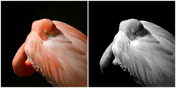 Dither patterns, special black and white method