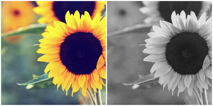 Dither patterns, special black and white method