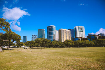 Fototapeta premium Ala Moana Beach Park Honolulu Oahu Hawaii