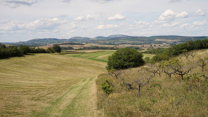 Fototapeta premium Southern Moravia landscape with hills, meadows and vineyards, popular bicycle tour an summer holiday destination, Valtice, Czech Republic