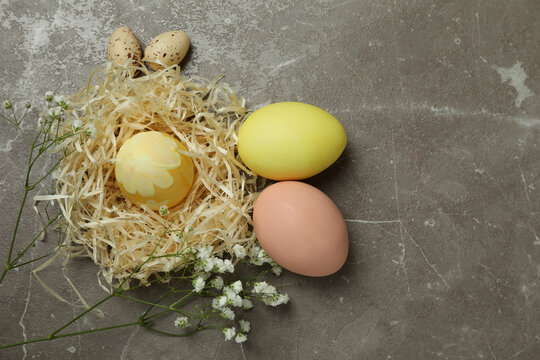 Easter eggs and gypsophila flowers on gray textured background
