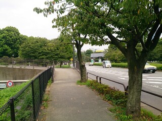 皇居の近く