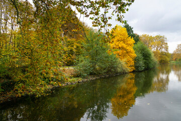 Fototapeta na wymiar Herbstwald am See, Nordrhein-Westfalen, Deutschland, Europa