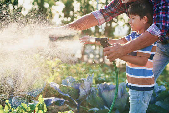 Boy helping watering vegetables in the garden