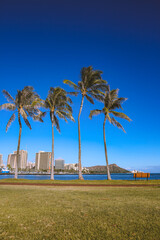 Obraz premium Magic Island Ala Moana Beach Park Oahu island Hawaii | Plants Nature Landscape Travel