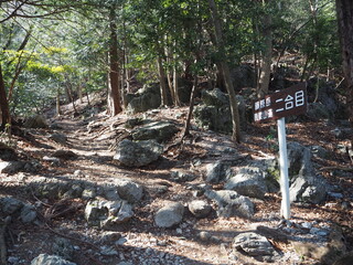 冬の藤原岳の登山道