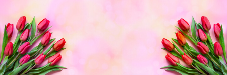 Obraz premium Bouquet of pink tulips on pink background celebration concept. Greeting card banner. Warm tones