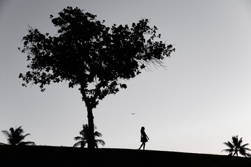 Girl  on the hill, trees silhouette , Kakaako Waterfront Park, Honolulu, Oahu, Hawaii