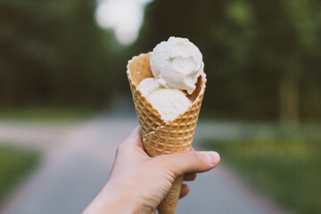 Vanila Ice cream in cone. Woman's hand taking gelato on background of green trees. Tasty and delicious dessert.